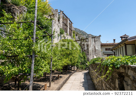 Limone del castel 92372211