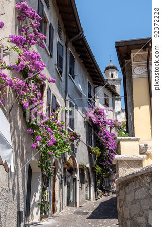 Bougainvillea in Limone sul Garda 92372228