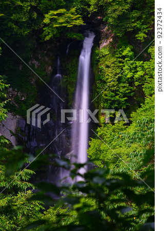 Hattan Waterfall in early summer Hattan Waterfall in early summer 92372434