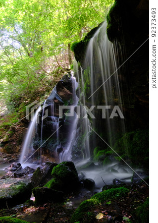 Sarutsubono Falls in early summer Sarutsubono Falls in early summer 92373493