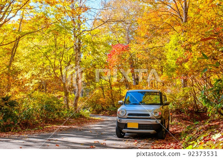 Fall Drive 92373531