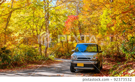 Fall Drive 92373532