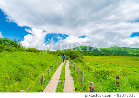 Summer Yashimagahara Marsh / Trekking scenery [Nagano Prefecture] 92375533