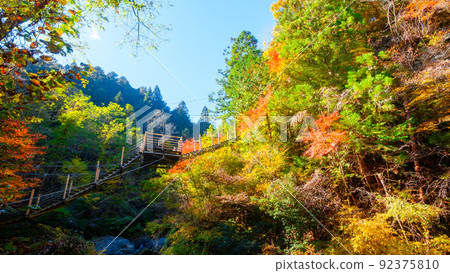 大柳川峽谷(秋季):龍神橋 大柳川峽谷(秋季):龍神橋 92375810