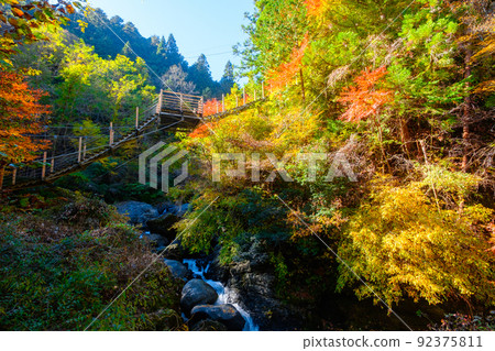 大柳川峽谷（秋季）：龍神橋 92375811