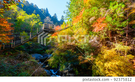 大柳川峽谷（秋季）：龍神橋 92375812