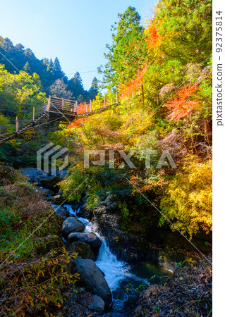 Oyanagawa Gorge (Autumn): Ryujin Bridge 92375814