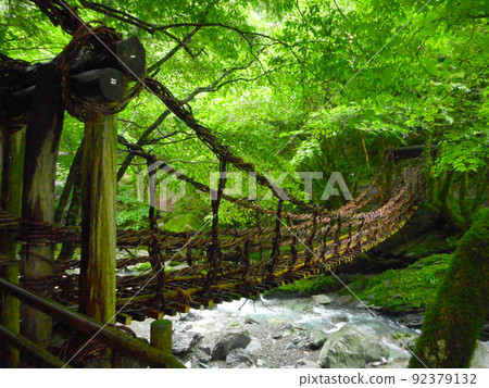 Oku Iya Double Kazura Bridge 92379132