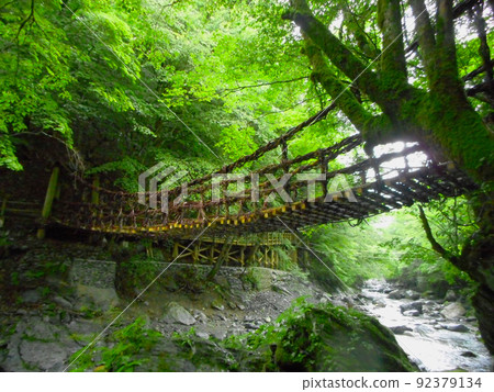 Oku Iya Double Kazura Bridge Onnabashi 仰視角度 Oku Iya Double Kazura Bridge Onnabashi 仰視角度 92379134
