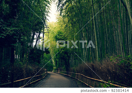 Bamboo groves in Kyoto and Sagano 92381414