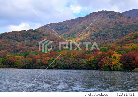 Autumn leaves of Lake Ashi, Hakone Autumn leaves of Lake Ashi, Hakone 92381431
