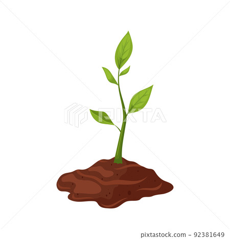 plant leaves appeared cartoon vector illustration plant leaves appeared cartoon vector illustration 92381649