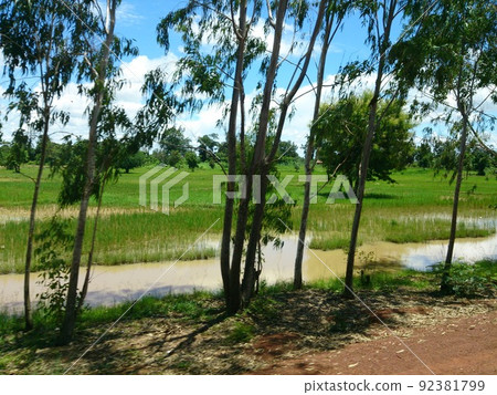 Cambodia 92381799