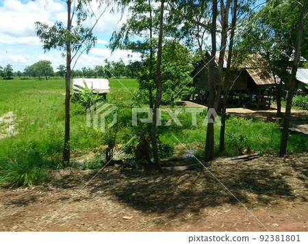 Cambodia 92381801
