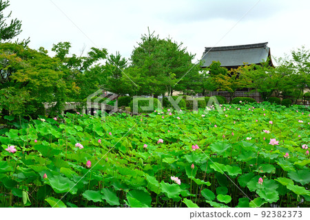 Kyoto · Tenryu-ji Temple 92382373