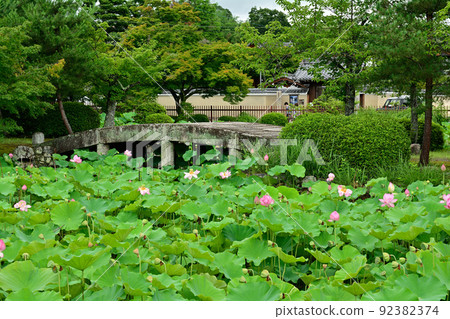 Kyoto · Tenryu-ji Temple Kyoto · Tenryu-ji Temple 92382374