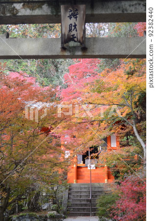 Kyoto's autumn leaves 92382440