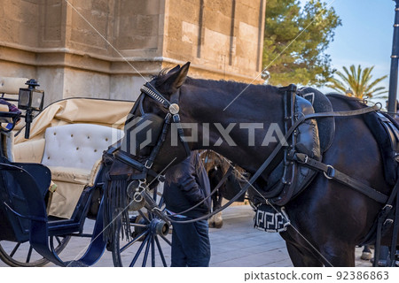 Close-up of man standing with horsecart against church in historic town 92386863