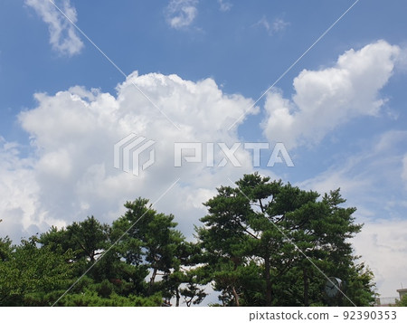 Clear sky Clear sky 92390353