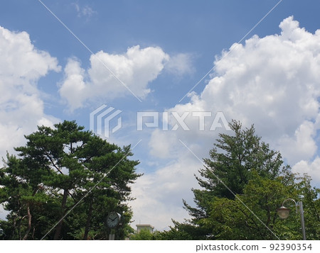 晴朗的天空 92390354