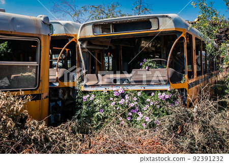 Rusted and Crushed Buses on the Tank Graveyard in Asmara, Eritrea Rusted and Crushed Buses on the Tank Graveyard in Asmara, Eritrea 92391232