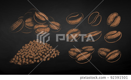 Vector chalk drawn sketches set of coffee beans Vector chalk drawn sketches set of coffee beans 92391501