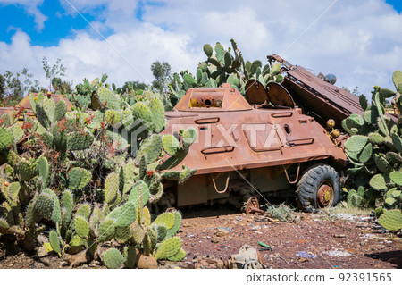 Green Cactuses on the Tank Graveyard in Asmara, Eritrea Green Cactuses on the Tank Graveyard in Asmara, Eritrea 92391565