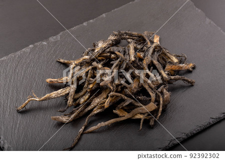 Squid ink Sakiika 92392302