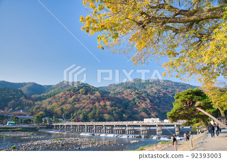 [Kyoto Prefecture] November ・ Sightseeing in Arashiyama during the fall foliage season under the refreshing blue sky 92393003