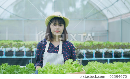 agriculture concept of 4k Resolution. Asian woman explaining about organic vegetable cultivation. Gardener's Confidence. 92394670