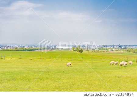Sapporo Hitsujigaoka Observatory Sheep and Sapporo Dome 92394954
