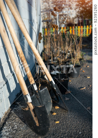 gardening shovel and set of young tree sapling in pots near building wall gardening shovel and set of young tree sapling in pots near building wall 92395260