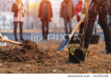 planting new trees with gardening tools or man hand with shovel digging ground 92395298
