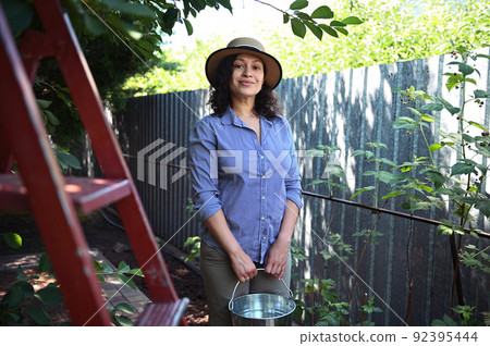 Middle aged woman farmer with a metal bucket standing near a ladder, harvesting ripe cherries in organic cherry orchard. 92395444