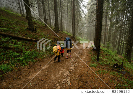Mother with two children and backpacks in the forest, hiking with children, tourists in the fog between tall trees. 92396123