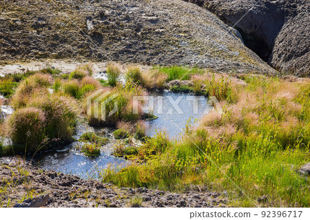 Sunny view of the landscape around Mud Volcano in Yellowstone National Park Sunny view of the landscape around Mud Volcano in Yellowstone National Park 92396717