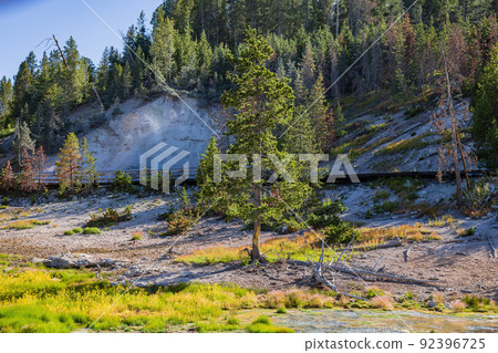 Sunny view of the landscape around Mud Volcano in Yellowstone National Park Sunny view of the landscape around Mud Volcano in Yellowstone National Park 92396725