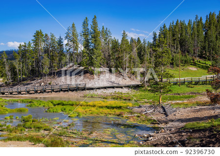 Sunny view of the landscape around Mud Volcano in Yellowstone National Park 92396730