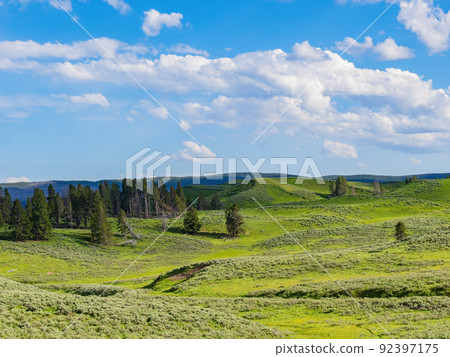 Sunny beautiful landscape in Yellowstone National Park Sunny beautiful landscape in Yellowstone National Park 92397175