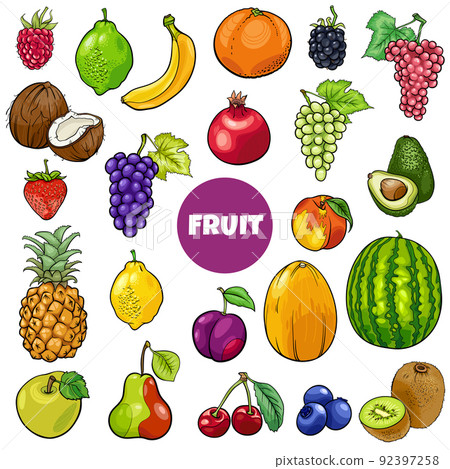 cartoon fresh fruit food objects set 92397258