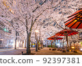 [Kyoto] Gion Shirakawa Night Cherry Blossoms 92397381