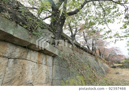 Tatsuoka castle 92397466