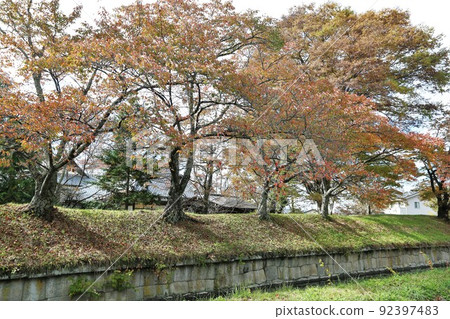 Tatsuoka castle 92397483