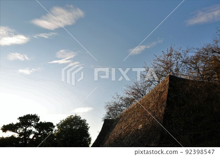 Kofu Castle 92398547