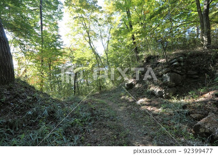 Yōgaiyama Castle 92399477