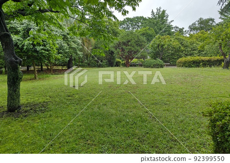 東京都町田市南成瀨町田市堂坂公園免費入園林內步行道橫濱線成瀨站令和4年6月 東京都町田市南成瀨町田市堂坂公園免費入園林內步行道橫濱線成瀨站令和4年6月 92399550