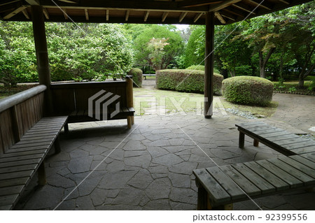東京都町田市南成瀨町田市堂坂公園免費入園林內步行道橫濱線成瀨站令和4年6月 東京都町田市南成瀨町田市堂坂公園免費入園林內步行道橫濱線成瀨站令和4年6月 92399556