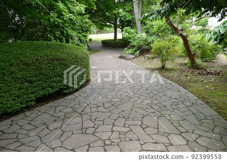 Minaminaruse, Machida-shi, Tokyo Machida-shi Donosaka Park Free admission Hayashiuchi walking path Yokohama Line Naruse Station June 4th year of Reiwa Minaminaruse, Machida-shi, Tokyo Machida-shi Donosaka Park Free admission Hayashiuchi walking path Yokohama Line Naruse Station June 4th year of Reiwa 92399558