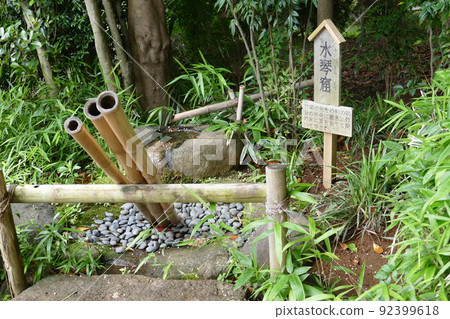 東京都町田市南成瀨町田市堂坂公園免費入園林內步行道橫濱線成瀨站令和4年6月 東京都町田市南成瀨町田市堂坂公園免費入園林內步行道橫濱線成瀨站令和4年6月 92399618