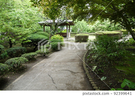 東京都町田市南成瀨町田市堂坂公園免費入園林內步行道橫濱線成瀨站令和4年6月 東京都町田市南成瀨町田市堂坂公園免費入園林內步行道橫濱線成瀨站令和4年6月 92399641